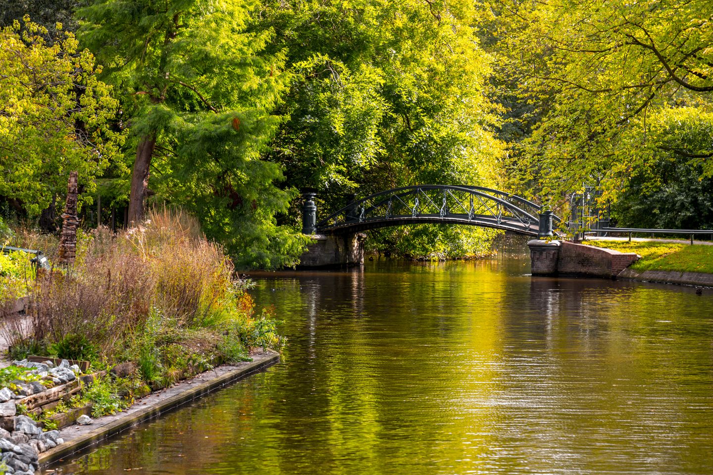 3 days in Amsterdam: a responsible travel itinerary A bridge over the river in the Hortus Botanicus gardens in Amsterdam