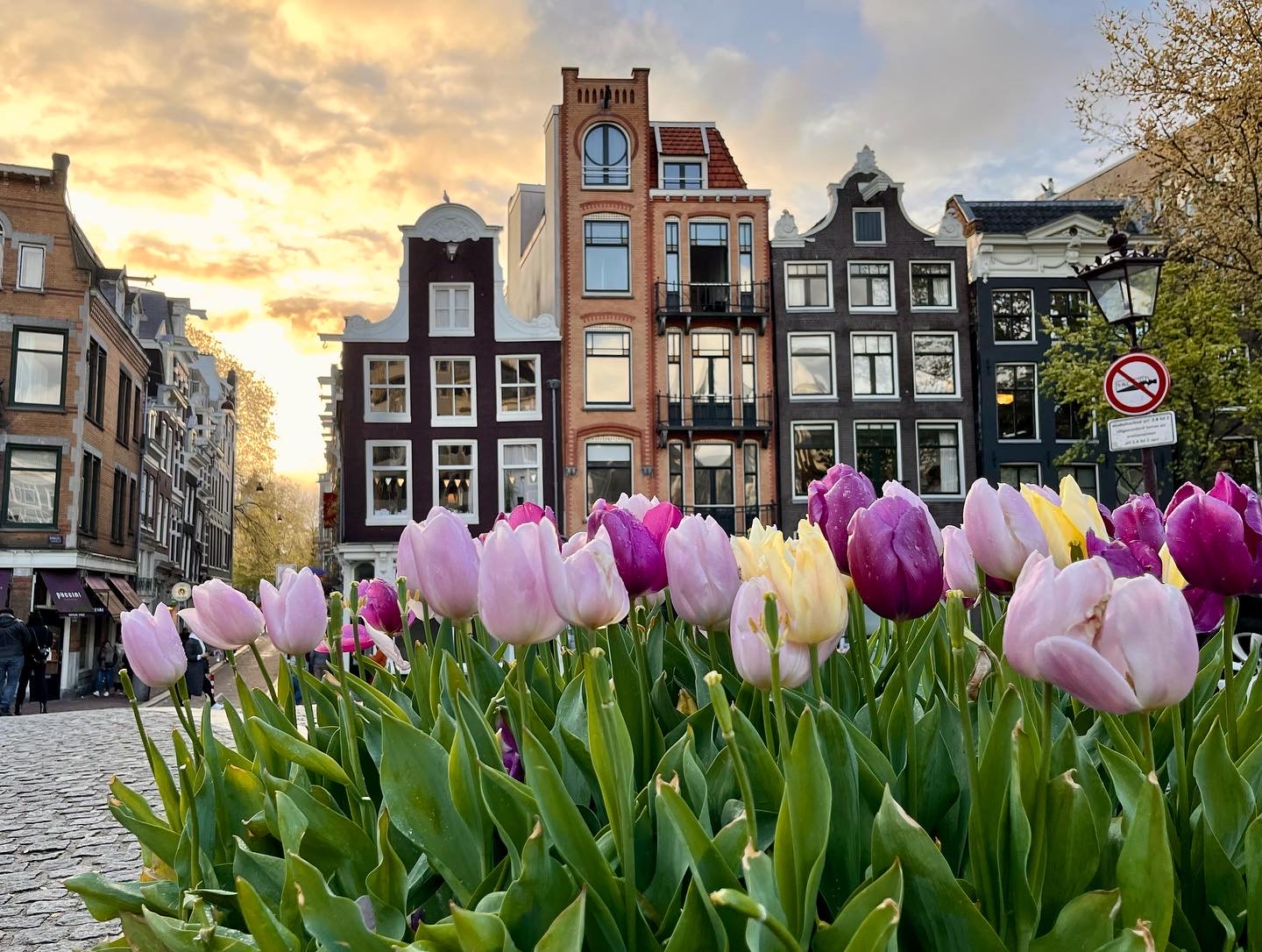 7 Tips for a Trip to Amsterdam for First Timers to The Netherlands! Tulips of Amsterdam on side of street.