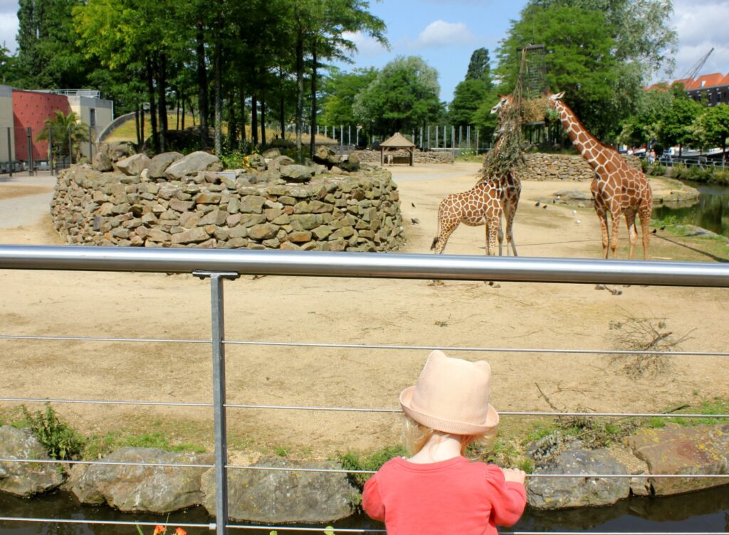 Top 20 Tourist Attractions in Amsterdam ARTIS Zoo Amsterdam