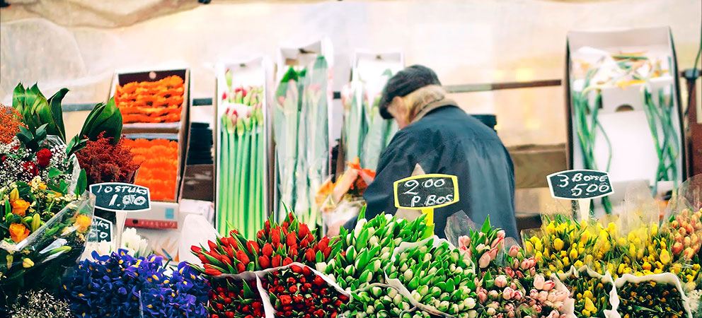 Bloemenmarkt, the flower market. Amsterdam visits