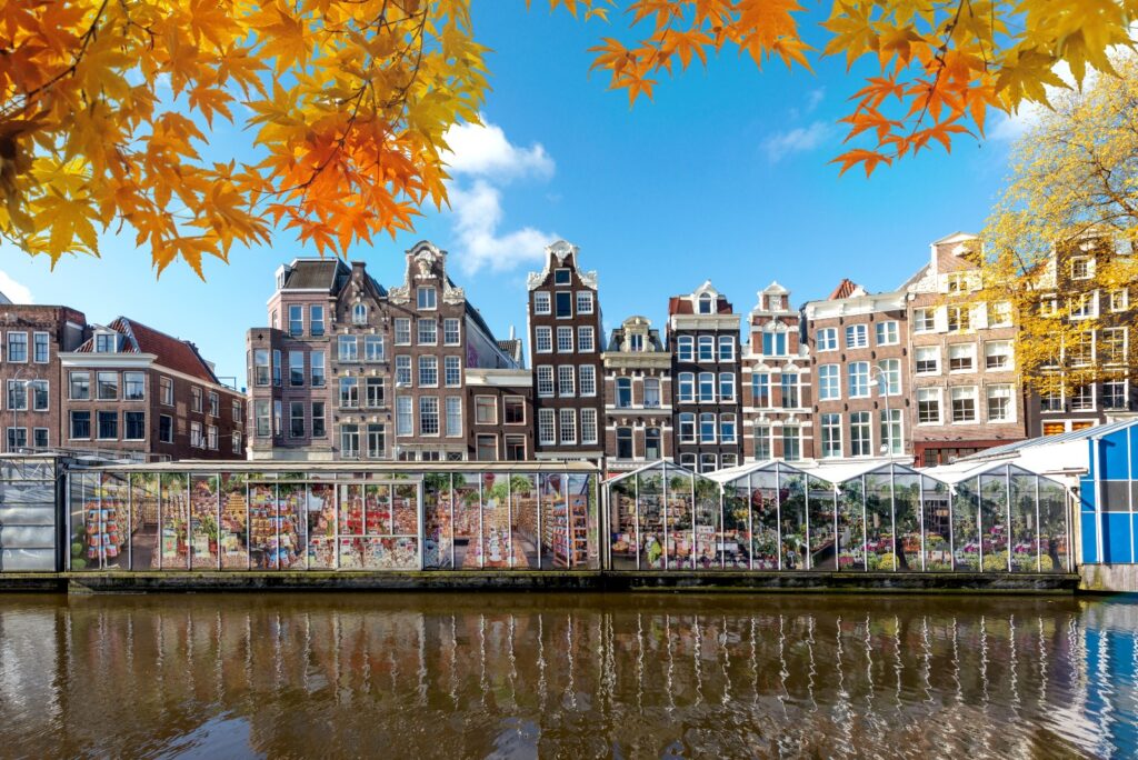 Top 20 Tourist Attractions in Amsterdam Bloemenmarkt Flower Market Amsterdam