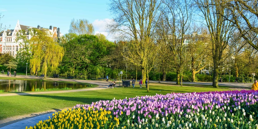 Top 20 Tourist Attractions in Amsterdam Vondelpark Amsterdam